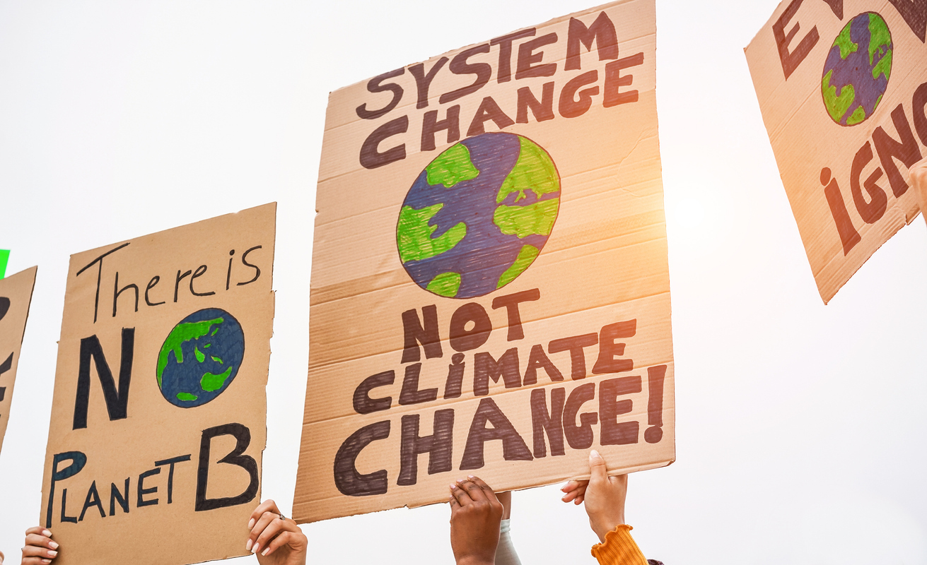 Climate strike signs