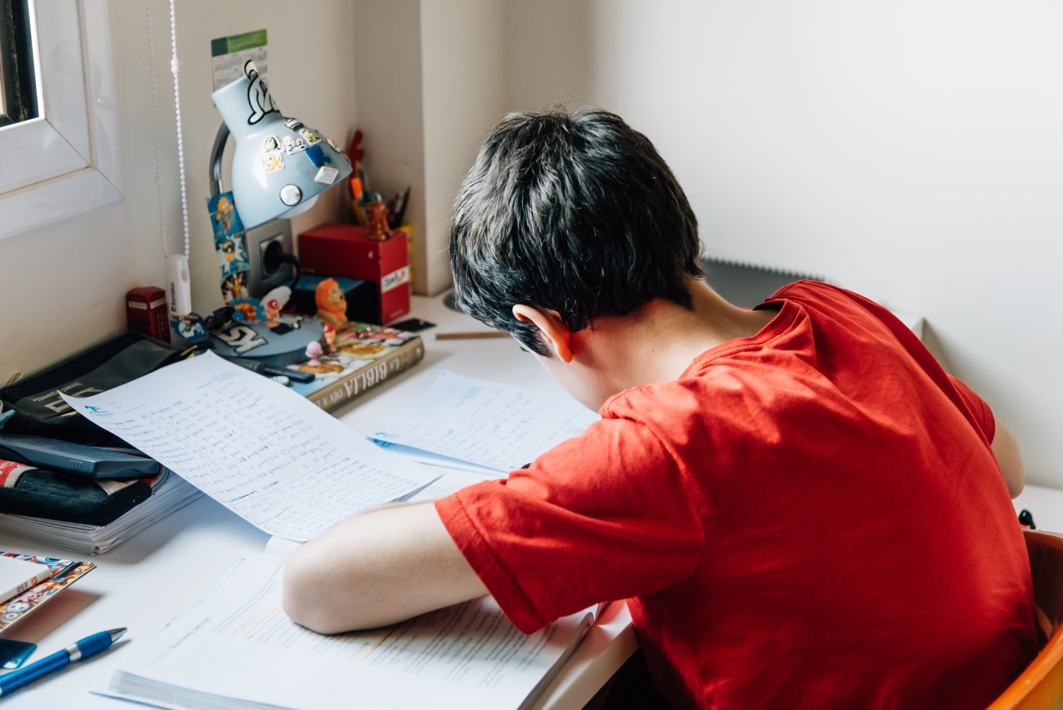Student studying for the Leaving Cert