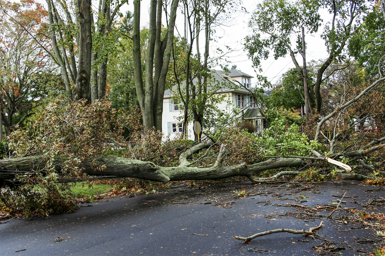 Hurricane-damage