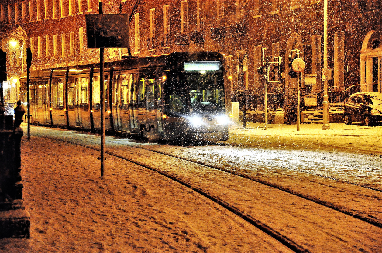 Luas-in-snow